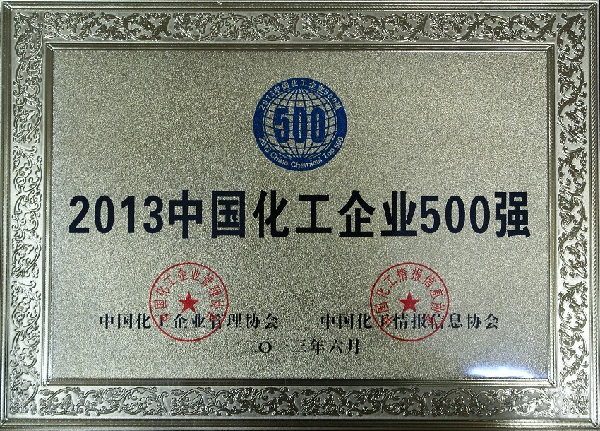 2013年中國(guó)化工企業(yè)500強(qiáng)